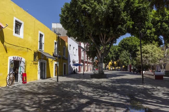 Plaza de los sapos