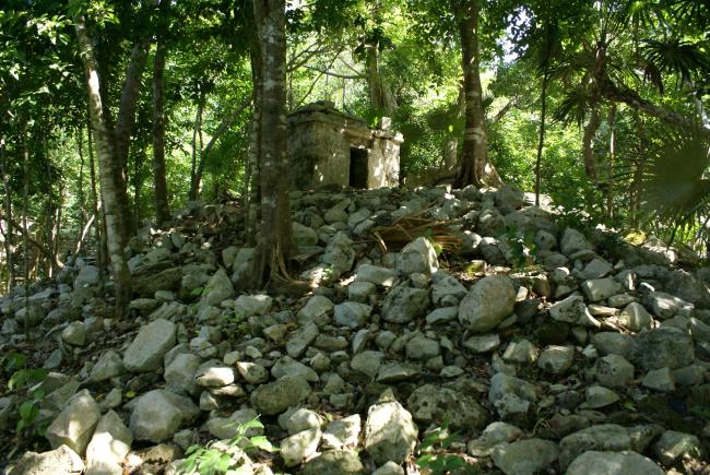 Tankah