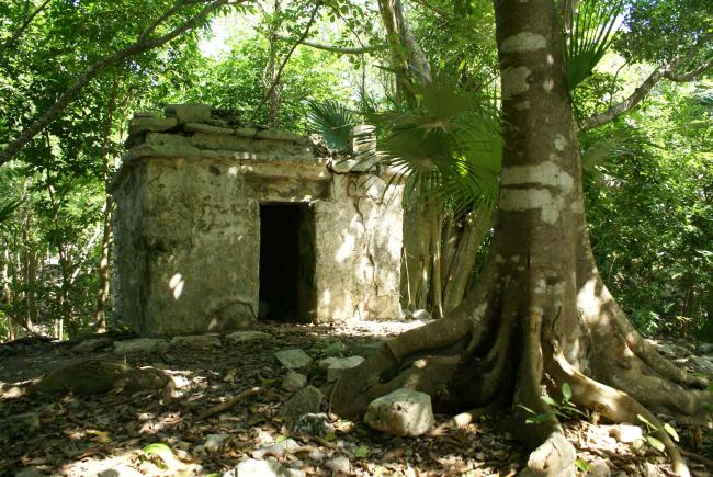 Tankah