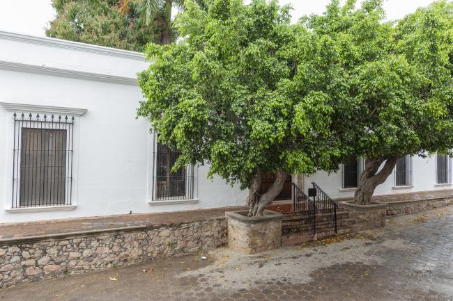 Hotel "Mansión de la Condesa"