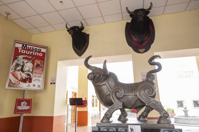 Museo Taurino
