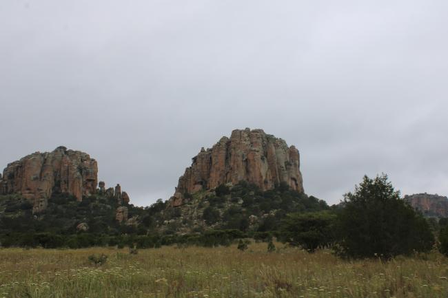 Sierra de Órganos
