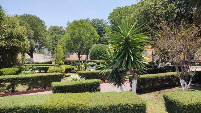 Plaza Morelos