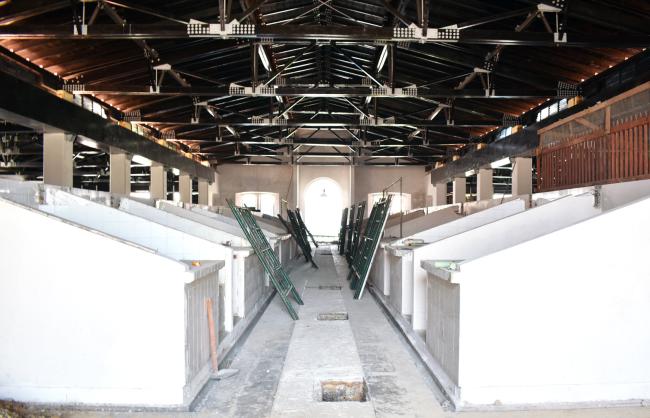 Mercado Teodoro A. Dehesa