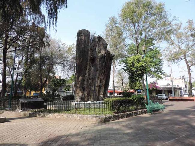Glorieta de los Ahuehuetes