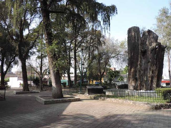 Glorieta de los Ahuehuetes