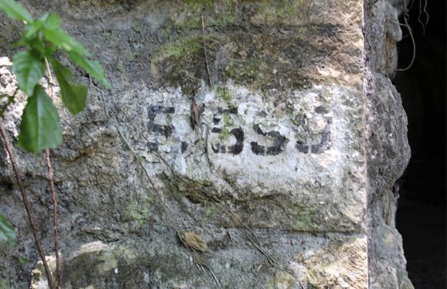 Túnel 8 del Antiguo Tramo Ferroviario Sumidero-Fortín de las Flores