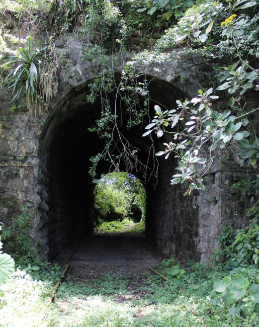 Túnel 7 del Antiguo Tramo Ferroviario Sumidero-Fortín de las Flores