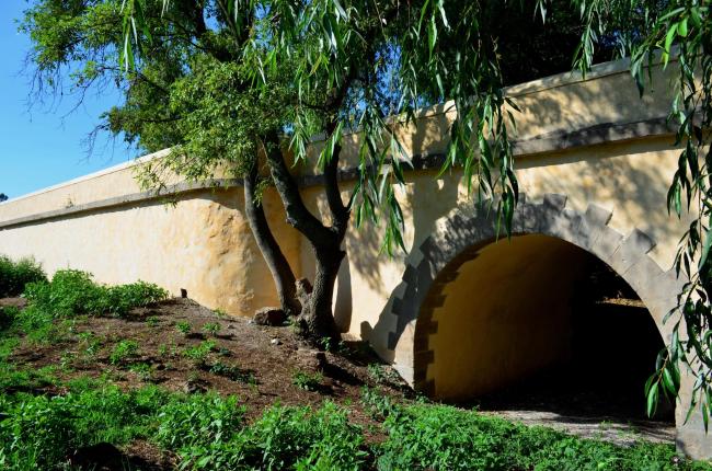 Puente de Atongo