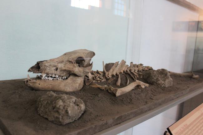 Museo de Sitio de Tecoaque