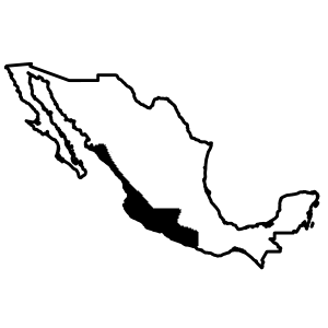 Región cultural Occidente