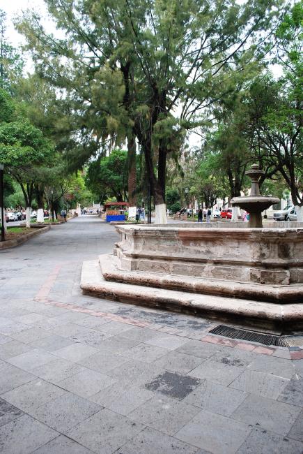 Alameda Trinidad García de la Cadena