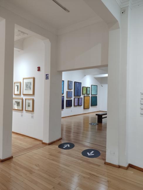 Museo Francisco Goitia
