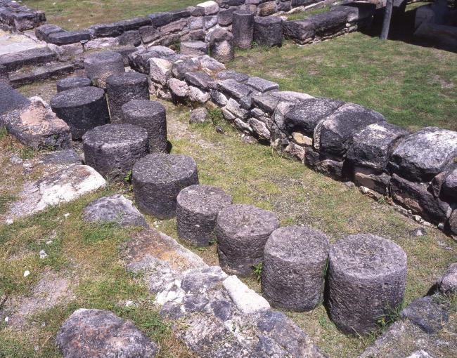 Cuetlajuchitlán (Los Querende)