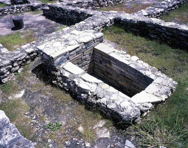 Cuetlajuchitlán (Los Querende)