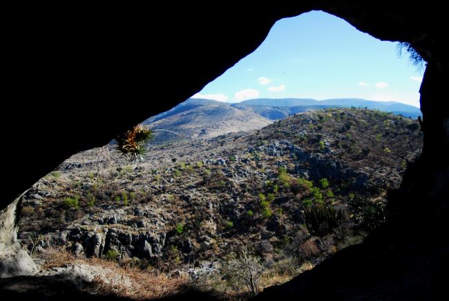 Cuevas de Mitla y Yagul