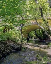 Puente de Atongo