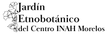 Jardín Etnobotánico del Centro INAH Morelos