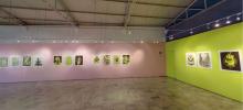 Galería José María Velasco
