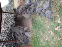 Cuicuilco Kiva