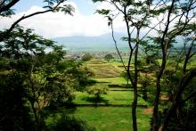 Guachimontones (Teuchitlán)
