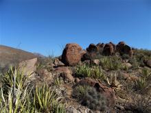 Boca de Potrerillos