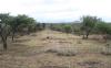 Tramo del Camino Real entre Ojocaliente y Zacatecas