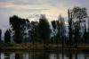 Xochimilco