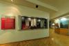 Sala La participación de José María Morelos