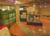 Sala 6