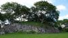 Templo mayor