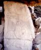 Monumento 31. Felino Agazapado