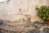 Fuente