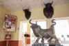 Museo Taurino