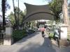 Jardín Hidalgo