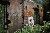 Casa del Guardapuente del Antiguo Tramo Ferroviario Sumidero-Fortín de las Flores