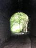 Túnel 5 del Antiguo Tramo Ferroviario Sumidero-Fortín de las Flores