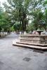 Alameda Trinidad García de la Cadena